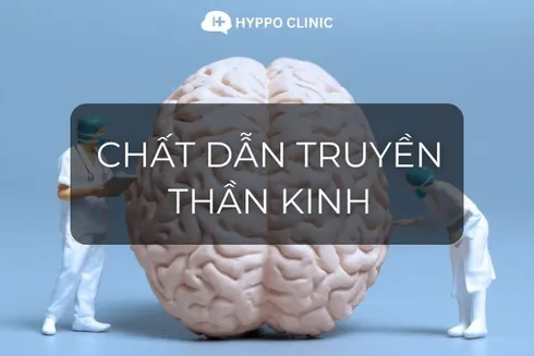 Chất dẫn truyền thần kinh là gì?